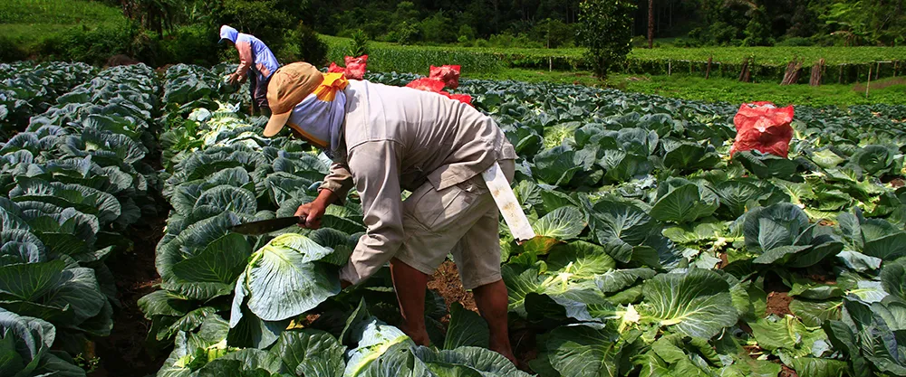 Trang chủ Trang chủ