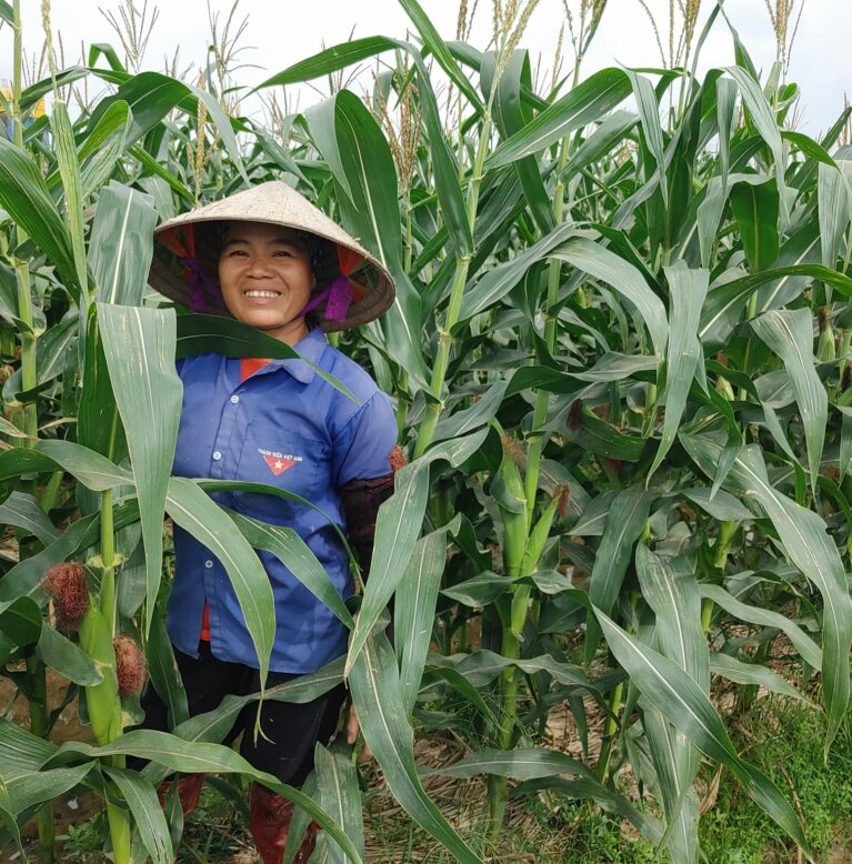 Chị Mai - Hoà Bình
