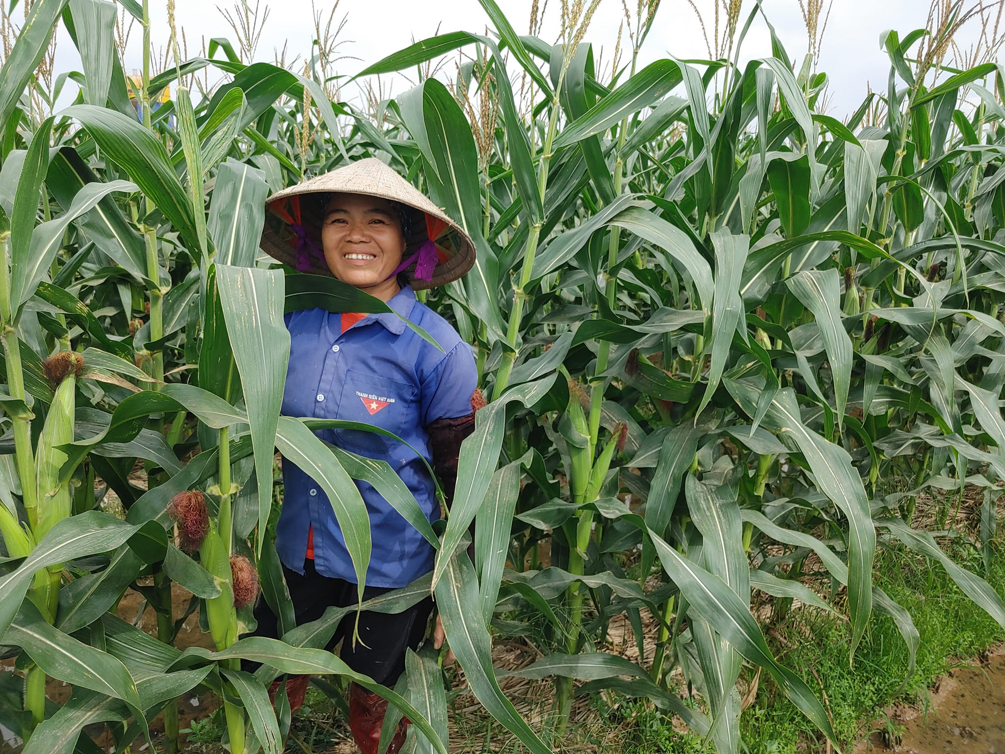 Chị Mai - Hoà Bình