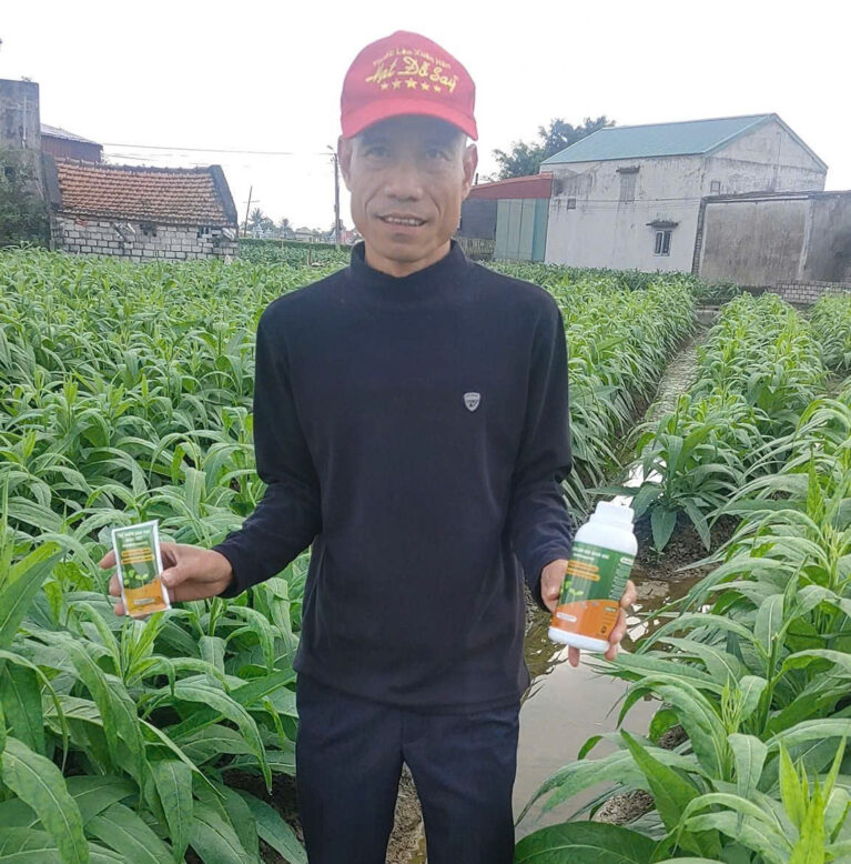 Anh Hân - Hải Phòng