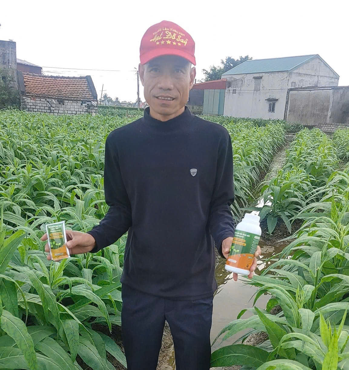Anh Hân - Hải Phòng
