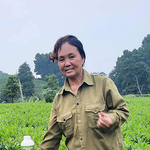 Cô Liên - Thái Nguyên