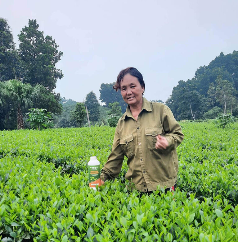 Cô Liên - Thái Nguyên