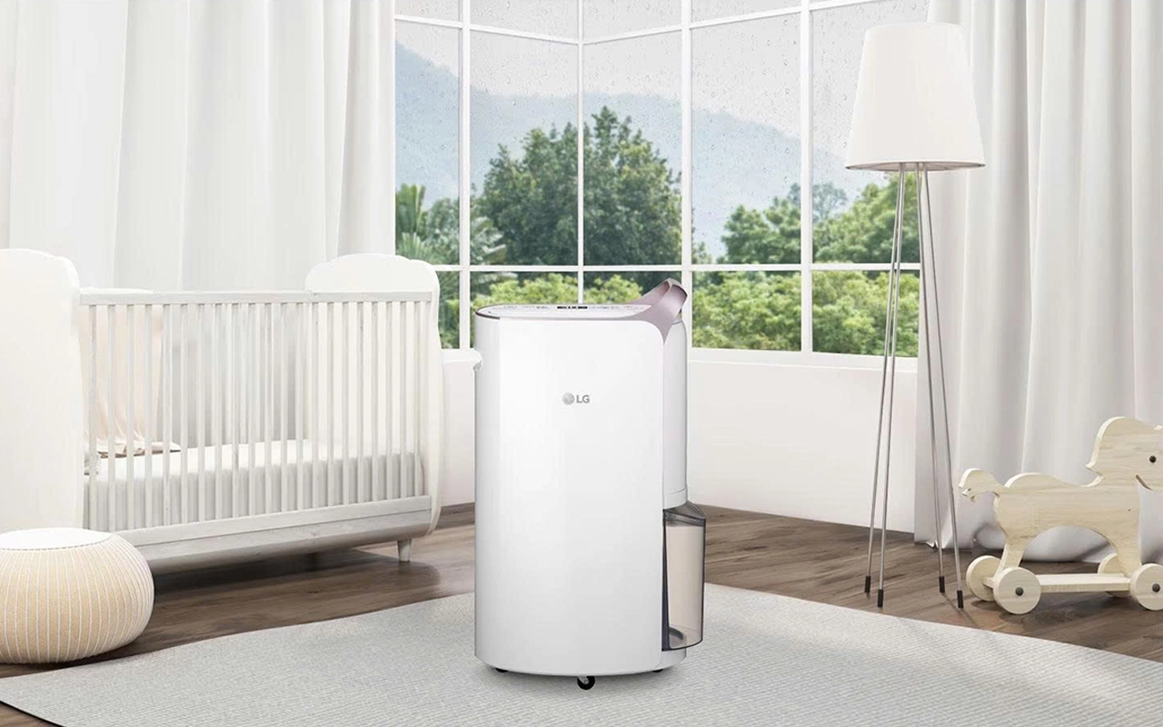 Máy hút ẩm LG MD19GQGE0 1