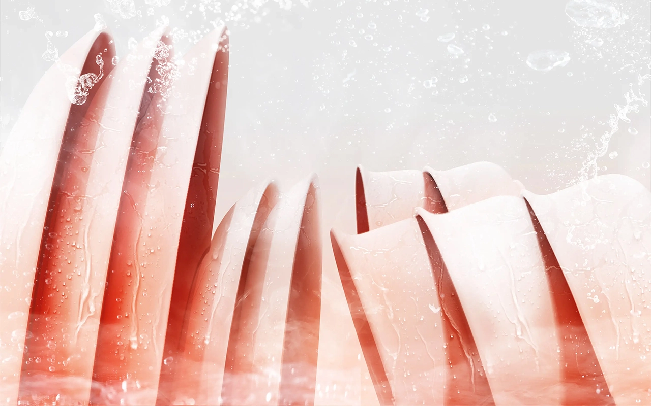 Máy rửa bát Toshiba DW-15F7(G)-VN